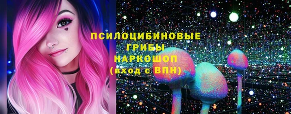 крисы Алексин