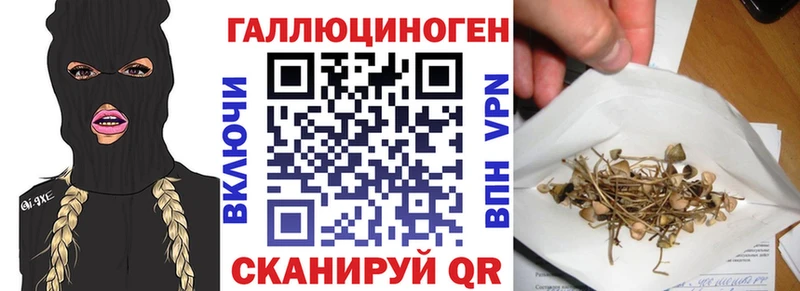купить наркоту Югорск Псилоцибиновые грибы Psilocybine cubensis